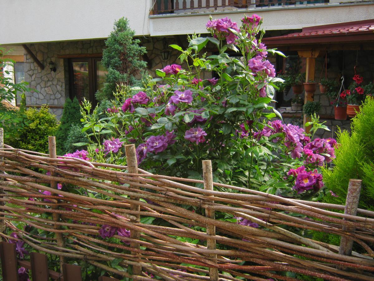 Risto'S Guest House Elshani المظهر الخارجي الصورة